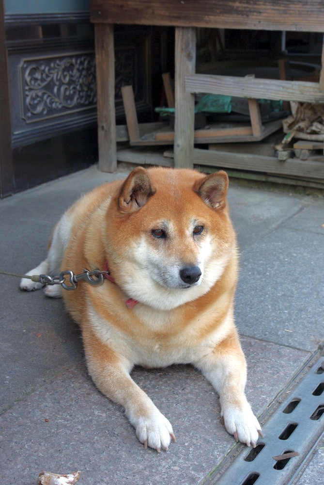 写真まとめ_f0138807_1251432.jpg