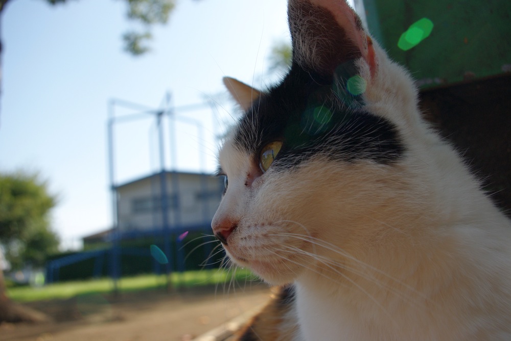 写真まとめ_f0138807_1254763.jpg