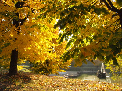 秋色のボーボリ庭園_a0207108_983465.jpg