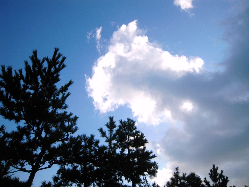c0132608_17543455.jpg