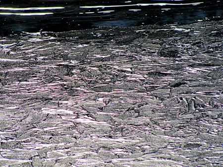 b0051109_31217.jpg