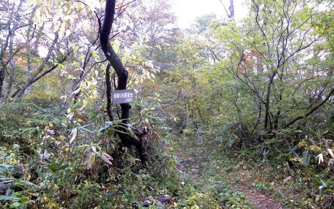 c0078410_8462777.jpg
