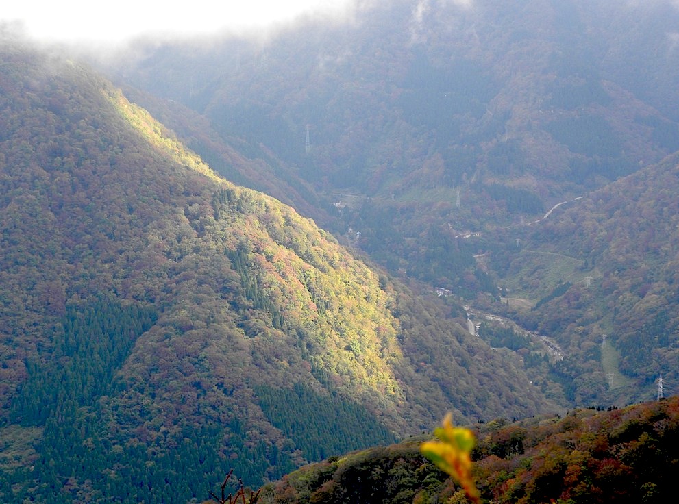 c0078410_852772.jpg