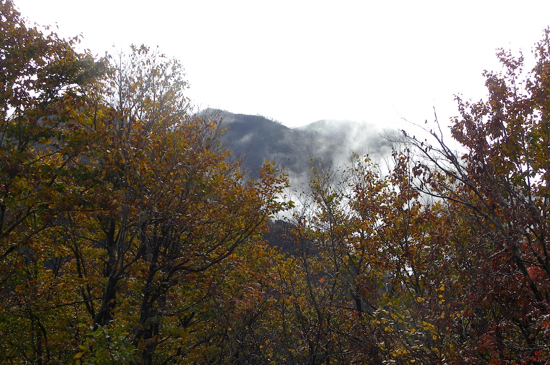 c0078410_8541544.jpg