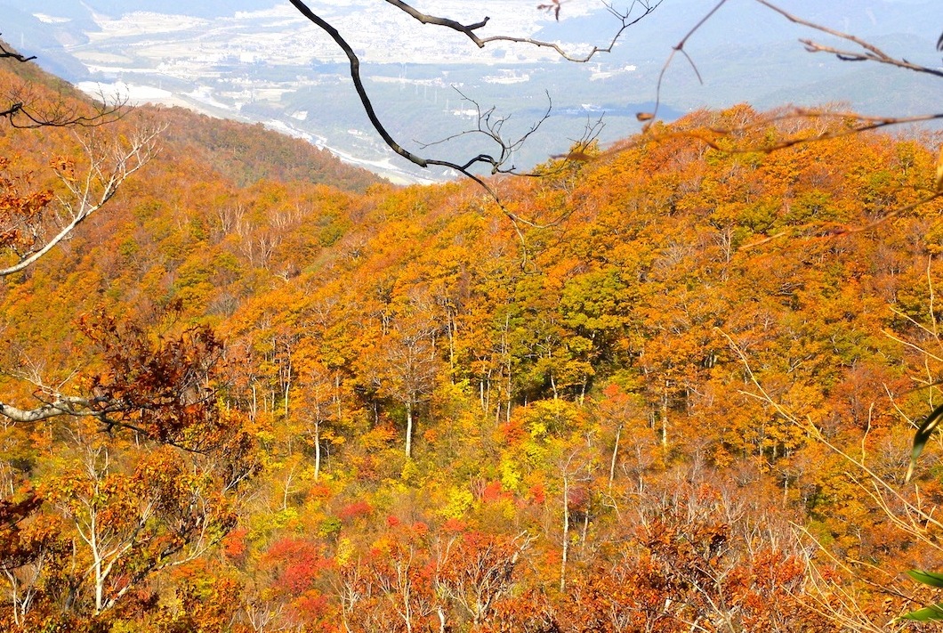 c0078410_8591959.jpg
