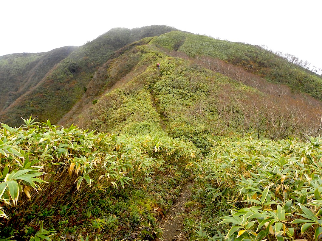 c0078410_932128.jpg