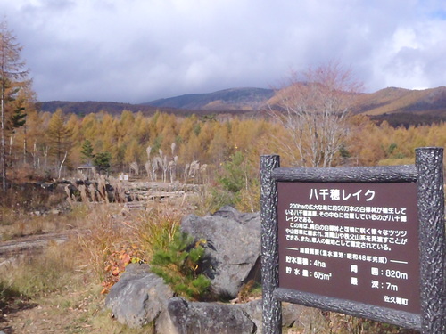 a0236914_16231738.jpg