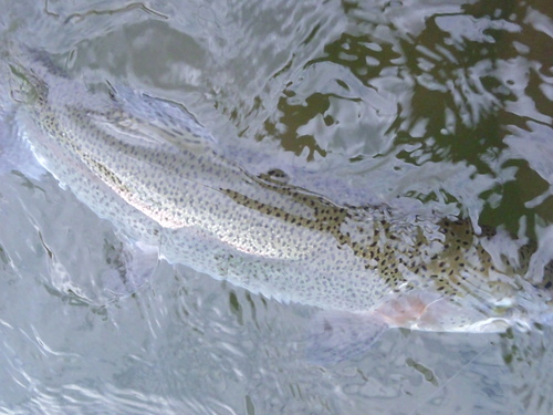 a0236914_16242752.jpg