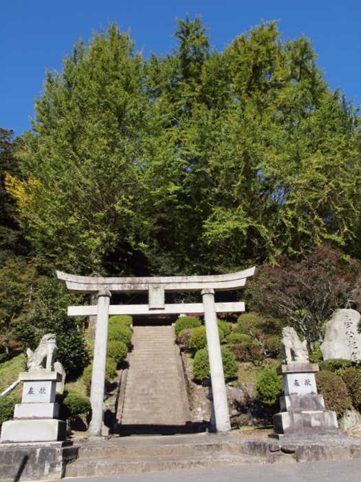 客人神社のイチョウ_c0116915_23584119.jpg