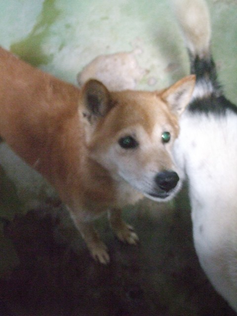 f0078320_12512139.jpg
