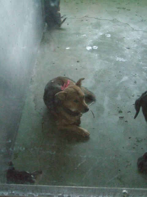 f0078320_13105045.jpg