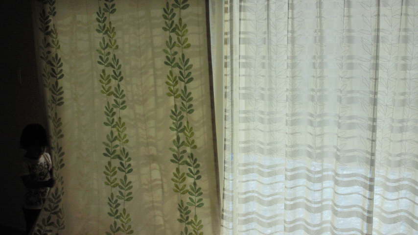 f0120320_1231256.jpg