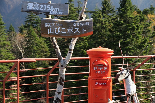 a0195223_2364676.jpg