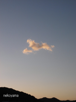 c0162823_162838.jpg
