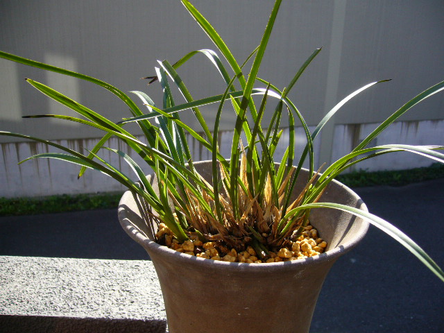d0000324_13403591.jpg