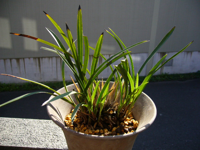 d0000324_13405353.jpg