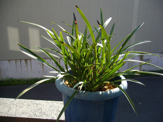 d0000324_1341429.jpg
