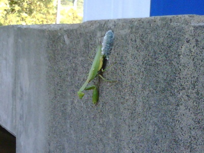 c0010727_23531796.jpg
