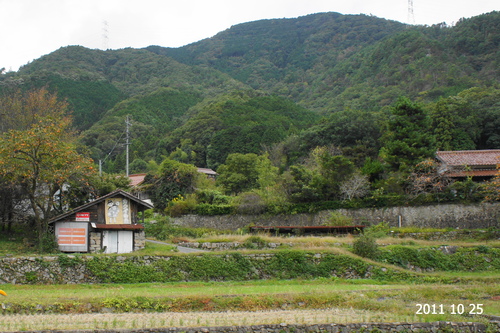 d0004728_90392.jpg