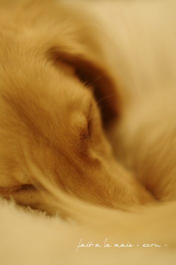 c0093830_0163246.jpg