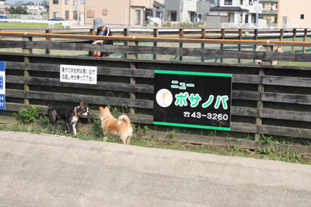 a0190132_22435868.jpg