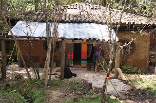 d0109335_0335512.jpg