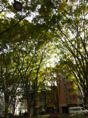 b0169238_21152933.jpg
