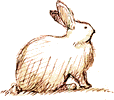 b0129140_1344742.gif