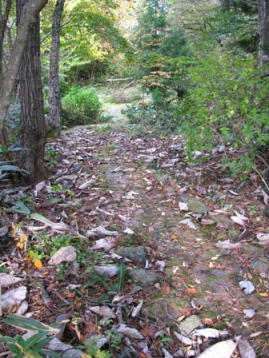 c0204740_19455.jpg