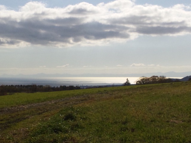 e0145441_201718.jpg
