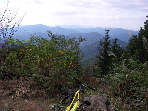 d0144550_1131968.jpg
