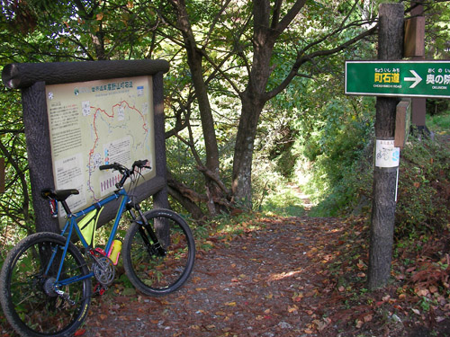 d0144550_11421749.jpg