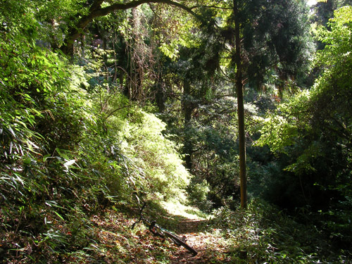 d0144550_11505710.jpg