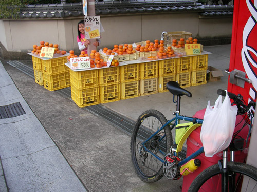 d0144550_125340100.jpg