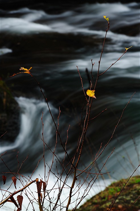 竜頭の滝 ~紅葉~_f0222161_12572330.jpg