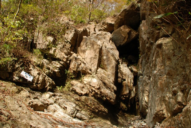 d0110562_19205325.jpg