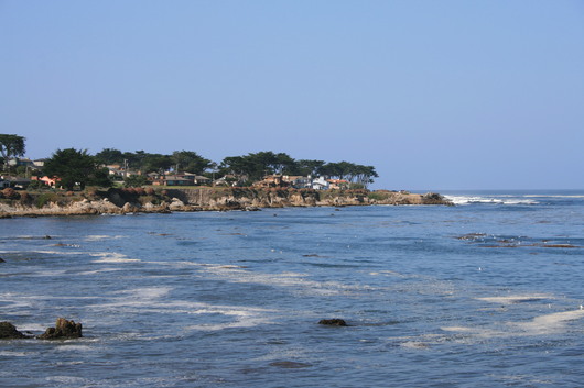 c0115366_2025419.jpg