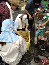 c0204368_1641119.jpg