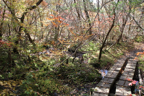 a0201077_16451567.jpg