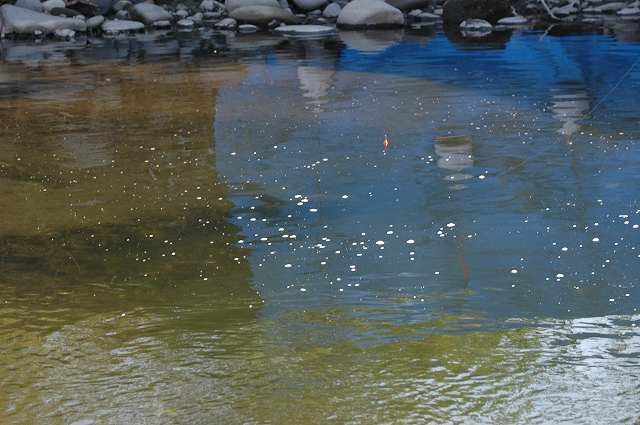 c0212083_22374149.jpg