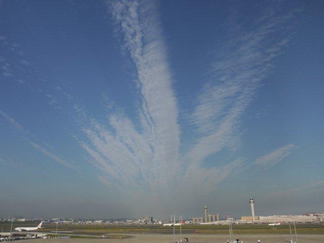 火曜ウォークで大田区を歩いてきました_b0175688_20294630.jpg