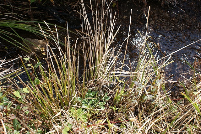 f0079289_04468.jpg