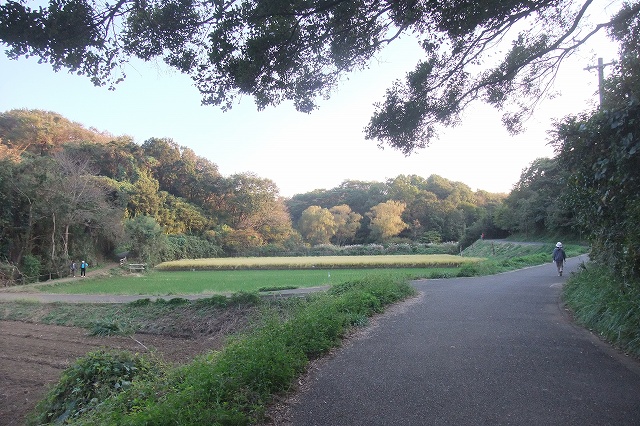 e0070891_1958132.jpg