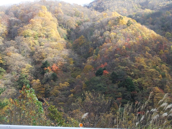 f0215591_37324.jpg