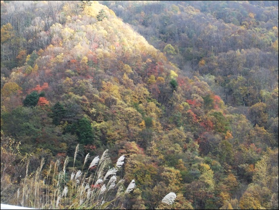 f0215591_37372.jpg