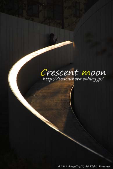 Ｃｒｅｓｃｅｎｔ　Ｍｏｏｎ_d0188392_1825944.jpg