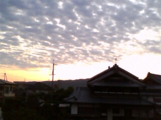 d0248792_2152484.jpg