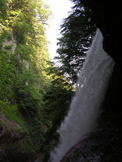d0234293_843527.jpg