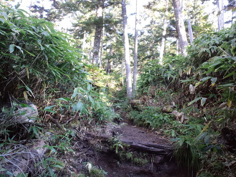 焼岳～西穂高岳～霞沢岳_d0237801_18501923.jpg