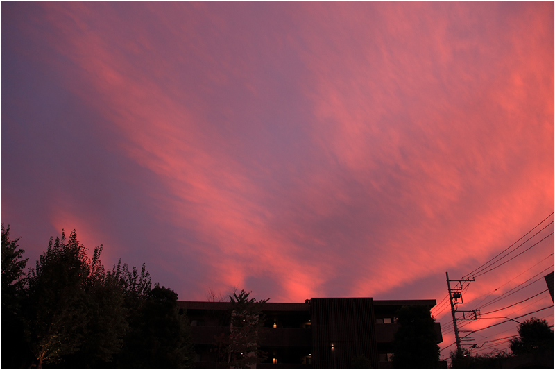 e0031502_13964.jpg